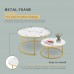 BLNDQMY Modern Nesting Coffee Table Round Coffee Table with Marble Glass Top & Gold Metal Frame for Living Room Office Balcon 31.5+23.6