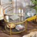 Bonnlo 31.5 Round Coffee Table with Open Storage Shelf,2-Tier Temperred Glass Round Accent Coffee Table with Metal Frame Gold