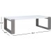 Safavieh Home Collection Bartholomew Mid-Century Modern White and Grey Lacquer Coffee Table