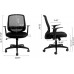 Hbada Home Desk Chair Mesh Office Chair with Arms and Adjustable Height Black