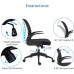 IPKIG Ergonomic Office Chair Home Office Desk Chairs with Wheels and Flip-Up Arms Foldable Backrest Mesh Computer Chair with Lumbar Support Black