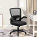 Office Chair Clearance Ergonomic Desk Chair with Adjustable Height Lumbar Support High Back Mesh Computer Chair with Flip up Armrests Task Chairs for Home Office 300lb Executive Chair