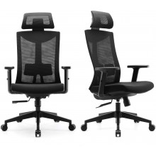 SIHOO Ergonomic Office Chair with Adjustable Lumbar Support and Armrests,Breathable Mesh Back and Padded Seat Desk Chair Computer Chair for Work Black