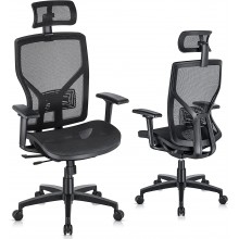 SUNNOW Ergonomic Office Chair with Adjustable Lumbar Support High-Back Mesh Desk Chair with Sliding Seat Headrest 2D Armrest Swivel Computer Task Chair for Home