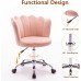 Velvet Vanity Chair Desk Chair Small Home Office Makeup Adjustable Swivel Chair Cute Chair Shell Shaped with Metal Legs for for Bedroom Makeup Living Room Pink