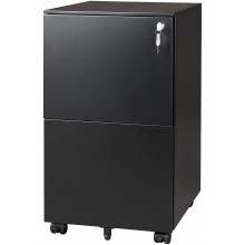DEVAISE 2-Drawer Mobile File Cabinet with Lock Commercial Vertical Cabinet in Black