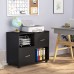 File Cabinet 2 Drawers Moblie Lateral Filing Cabinet with Wheels Printer Stand with Storage Shelves and Letter Size A4 Size Drawers Rolling File Cabinets for Home Office Black