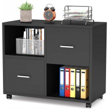 File Cabinet 2 Drawers Moblie Lateral Filing Cabinet with Wheels Printer Stand with Storage Shelves and Letter Size A4 Size Drawers Rolling File Cabinets for Home Office Black