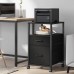 Raybee Small Filing Cabinets for Home Office with 2 Drawers Rolling File Cabinet with Open Storage Shelf Small Office Cabinet Printer Stand fits A4 Letter Legal Size Black 16 D x 17 W x 27 H