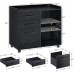 Seventable 3-Drawer File Cabinet Mobile Lateral Printer Stand with Open Storage Shelf Rolling Filing Cabinet with Wheels for A4 Letter Size Black