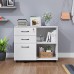 Wood File Cabinet 3 Drawer Mobile Lateral Filing Cabinet On Wheels Printer Stand with Open Storage Shelves for Home OfficeWhite