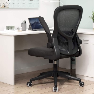 Hbada Office Chair Ergonomic Desk Chair Computer Mesh Chair with Lumbar Support and Flip-up Arms,Black