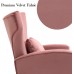 Pink Accent Chair Set of 2 with High Back Living Room Chairs 2 Pack with Lumbar Pillow and Golden Legs Velvet Armchair Modern Mid Century Vanity Chairs with Armrest for Bedroom