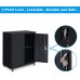 LUCYPAL Metal Storage Cabinets with Wheels,Storage Cabinet with Lock,Adjustable Shelf,Steel Locking Cabinet for Office,Home,Garage,Classroom,Black
