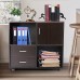 Office Filing Cabinet with Wheels Wooden Mobile Filing Cabinet Storage Cabinet Under Table Storage Cabinet Low Cabinet for Home Office Black
