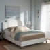 Baxton Studio BBT6376-White-Queen Bed with Upholstered Headboard Queen White