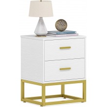 End Table Nightstands with 2 Storage Drawers Modern Night Stands for Bedrooms White Bedside Table Sofa Side Table