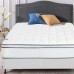 Continental Sleep 10-Inch Medium Plush Eurotop Pillowtop Innerspring Mattress and 8 Wood Boxspring Foundation Set with Frame Twin gold