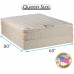 Dream Sleep Tomorrow's Dream PillowTop Eurotop Queen Size Mattress and Box Spring Set Innerspring Coil Sleep System with Enhanced Cushion Support Fully Assembled and Longlasting