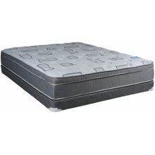 Dream Trophy Foam Encased Edge Support Queen Size Mattress and Box Spring Set