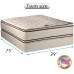 DS Solutions USA Coil Comfort Pillow Top Twin Mattress and Box Spring Set 2-Sided Sleep System with Enhanced Cushion Support Fully Assembled Orthopedic Type Longlasting Comfort