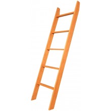 BrandtWorks 208L Modern Rustic Style Decorative Maple Ladder 20" x 72"