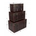 Deco 79 Matte Leather and Wood Trunks Set of 3 Brown