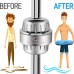 AquaHomeGroup 15 Stage Shower Filter with Vitamin C for Hard Water High Output Shower Water Filter to Remove Chlorine and Fluoride 2 Cartridges Included -Consistent Water Flow Showerhead Filter