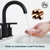 FORIOUS Two Handle High Arc Widespread Bathroom Sink Faucet 3 Hole with Pop-Up Drain and Water Supply Lines Matte Black